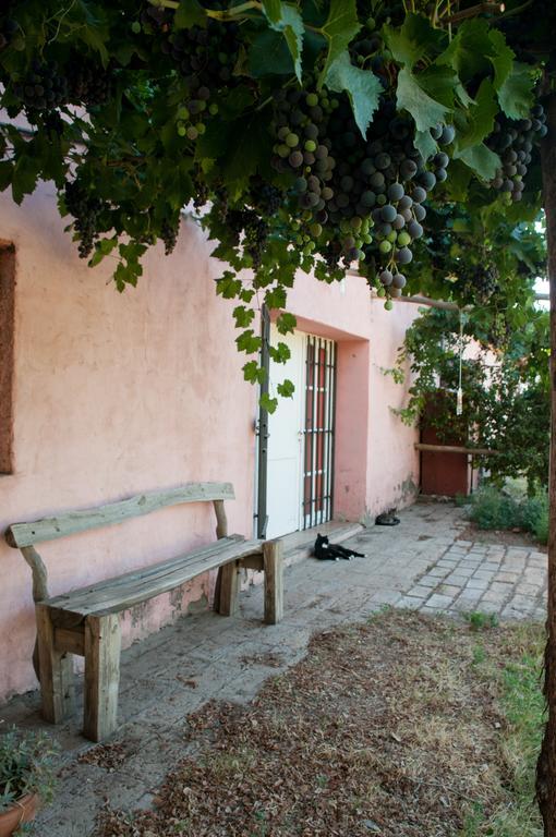 Hosteria Rural Viejo Roble San Rafael  Exterior photo
